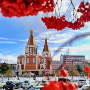 �������� �����������