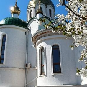 ���� ��������: 