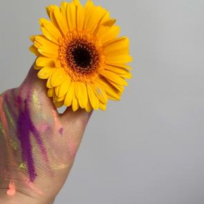 ����: ������� 