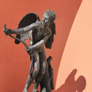 ����: ��������� ����