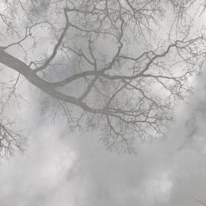 ����: ���� �� �����
