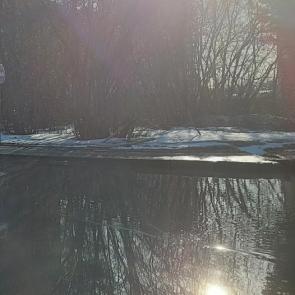 ����: ����� � ������
