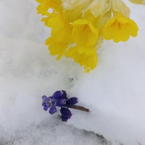 ����: �� ��� � ��� ��������