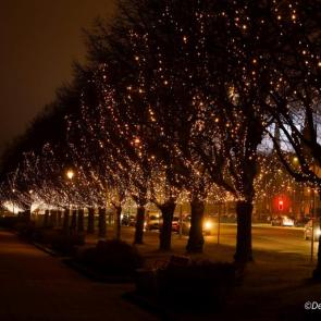 ����: 