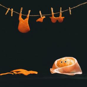 ����: ������� ������