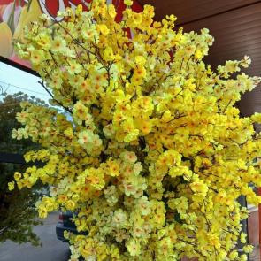 ���� ��������: 