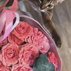 ����: �������