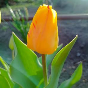 ���� ��������: 
