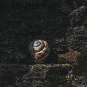 ����: �������� ������ �����