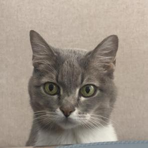 ����: 