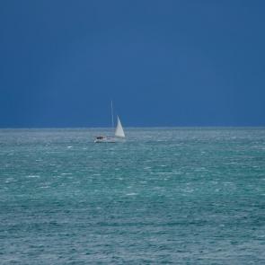 ����: ������ �����