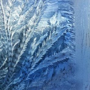 ���� ��������: 