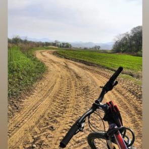 ����: ������ 