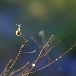 ����: � ������