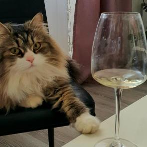 ����: 