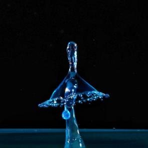 ���� ��������: 