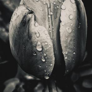 ����: 