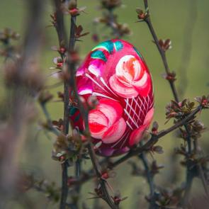 ����: �����������...