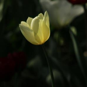 ����: ���������� �������