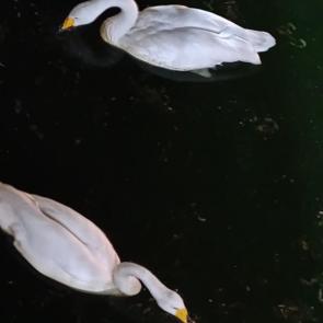 ����: ���� � ����