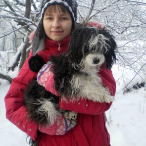 Фото: утро в зимнем лесу