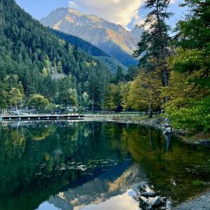 ����: ������� ������