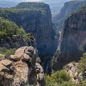 ����: ������ ���� � ������