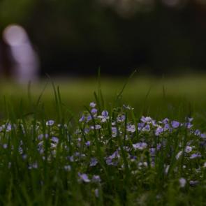 ����: � �����...