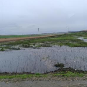����: �������
