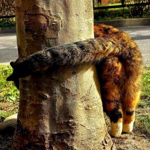 ����: �� ������