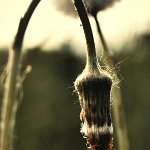 ����: �� ����� 