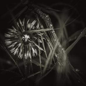 ����: 