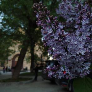 ����: ������