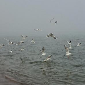 ����: ����� � �����