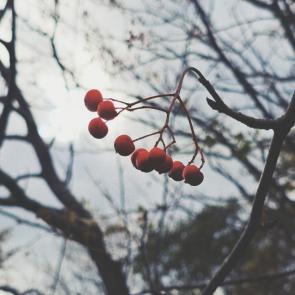 ����: 