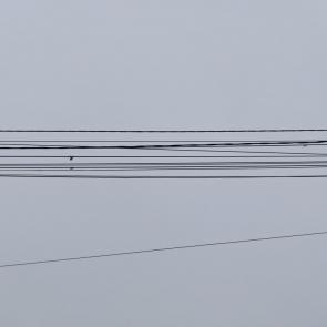 ����: 