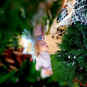����: ������ � ������