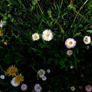 ���� ��������: 