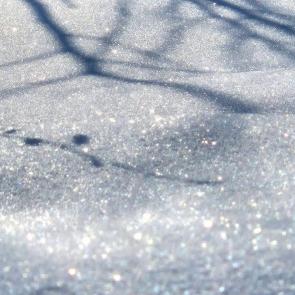 ���� ��������: 