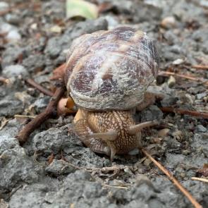 ���� ��������: 