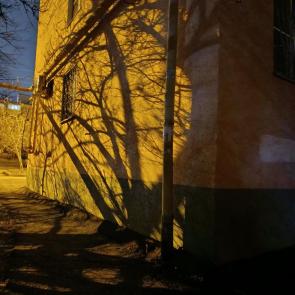 ���� ��������: ������ ����