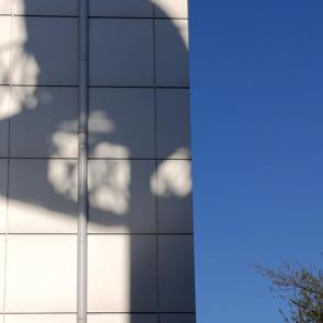 ����: �������� ��������