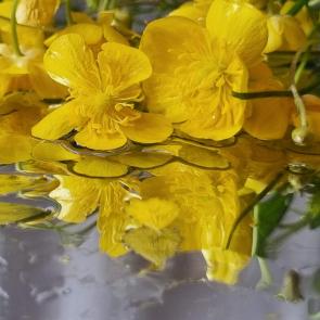 ����: 