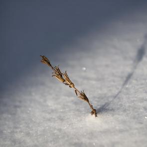 ����: ����� � �����