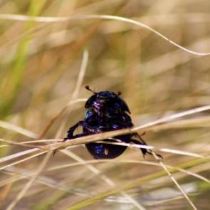����: �������� ����������
