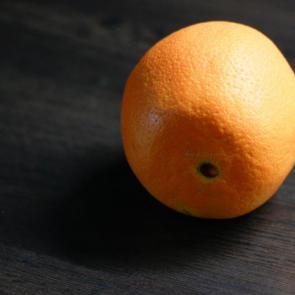 ����: ��������