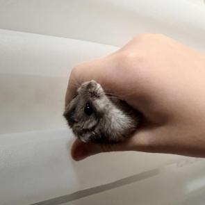 ����: 