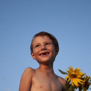 ����: 