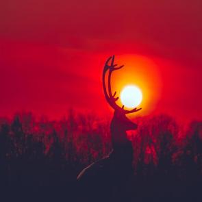 ����: ��� ������ 