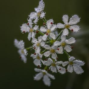 ����: ������ ������...